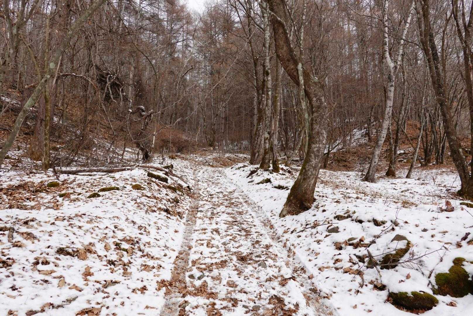 雪は少ないですね