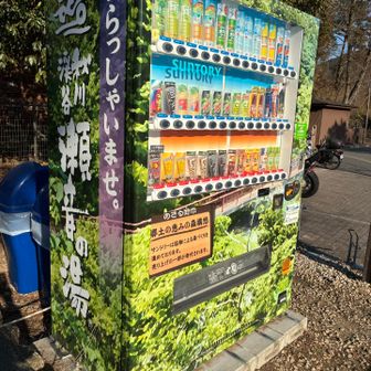 自販機がフォレスト一体化