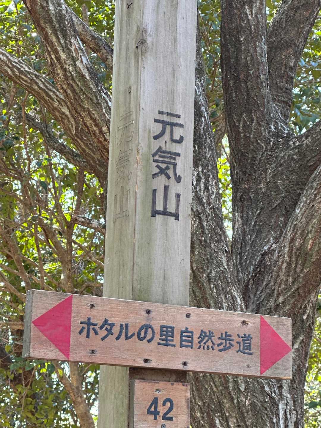 愛宕山-京ヶ峯-七曲峠-ホド田山-音羽富士-古坂峠 周回コースの写真