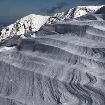 雪多（ｶﾙﾒﾝ）