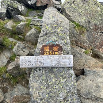 蝶槍到着