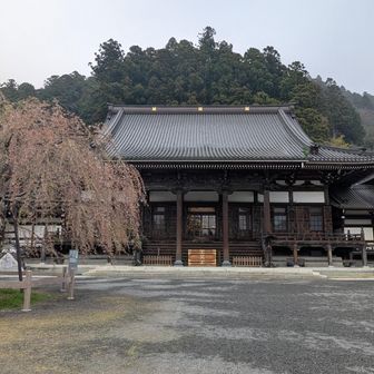 立派なお寺
読経が聞こえてきて心地よい