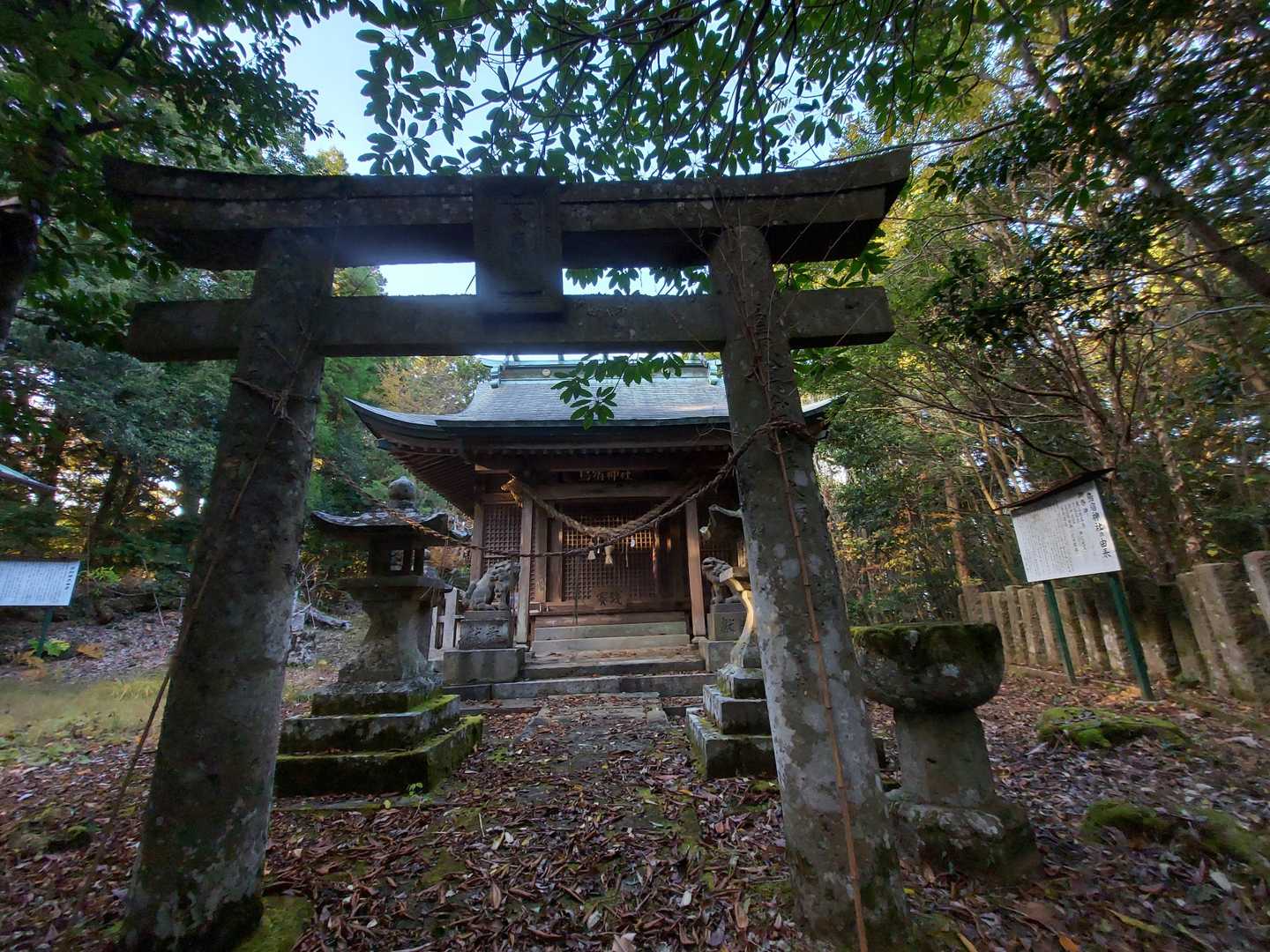 鳥宿山(鳥宿神社)登頂