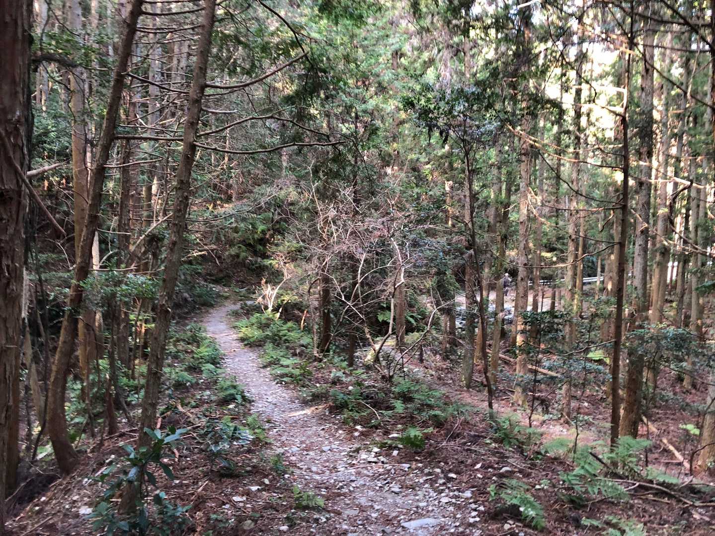 そんなこんなで神社⛩にお邪魔できずに下山しちゃいました😅
とはいえ、無事に下山できて楽しい山時間でした。ありがとうございます😊