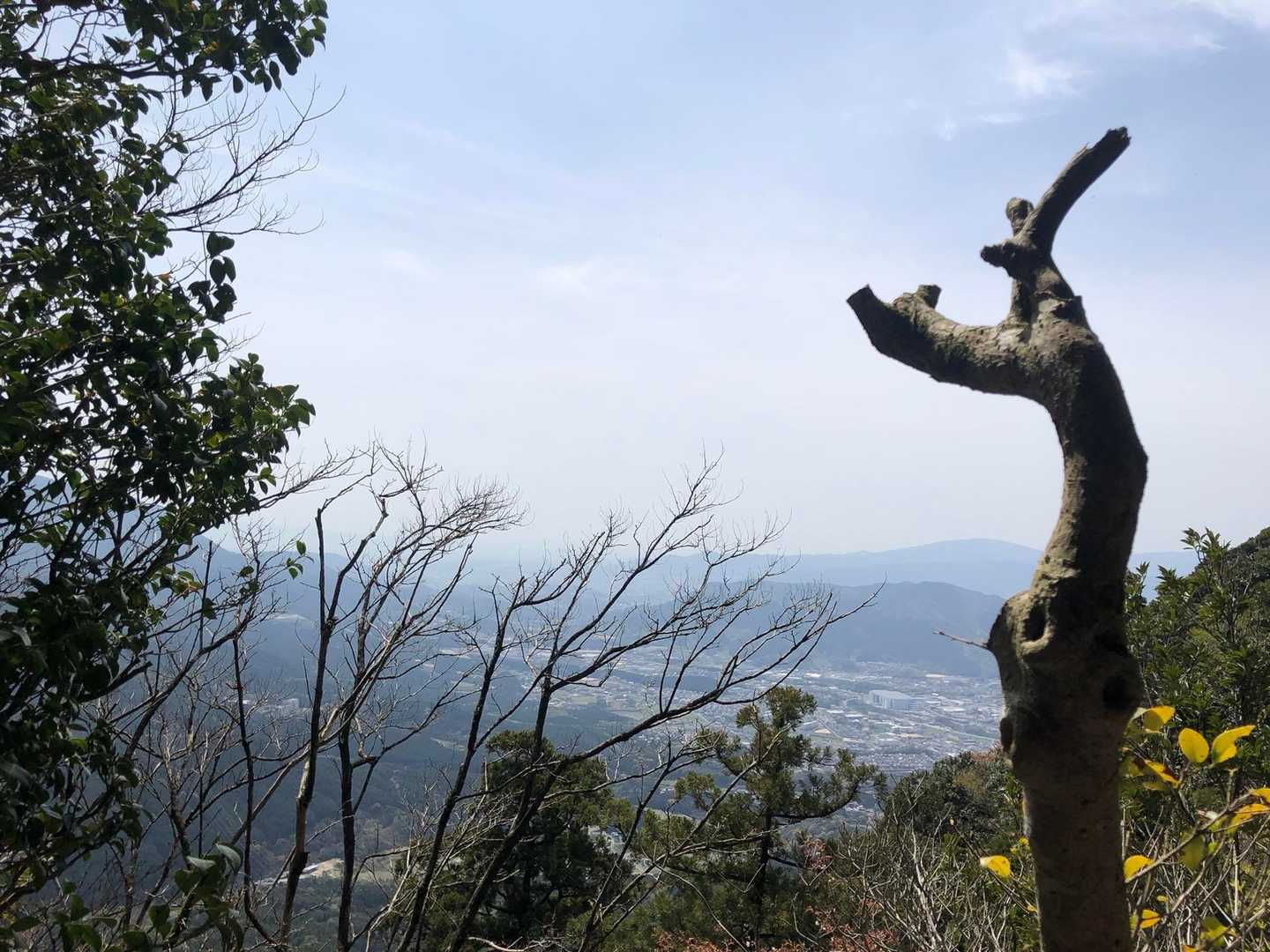 太祖神社-奥の院-若杉山-米ノ山 周回コースの写真