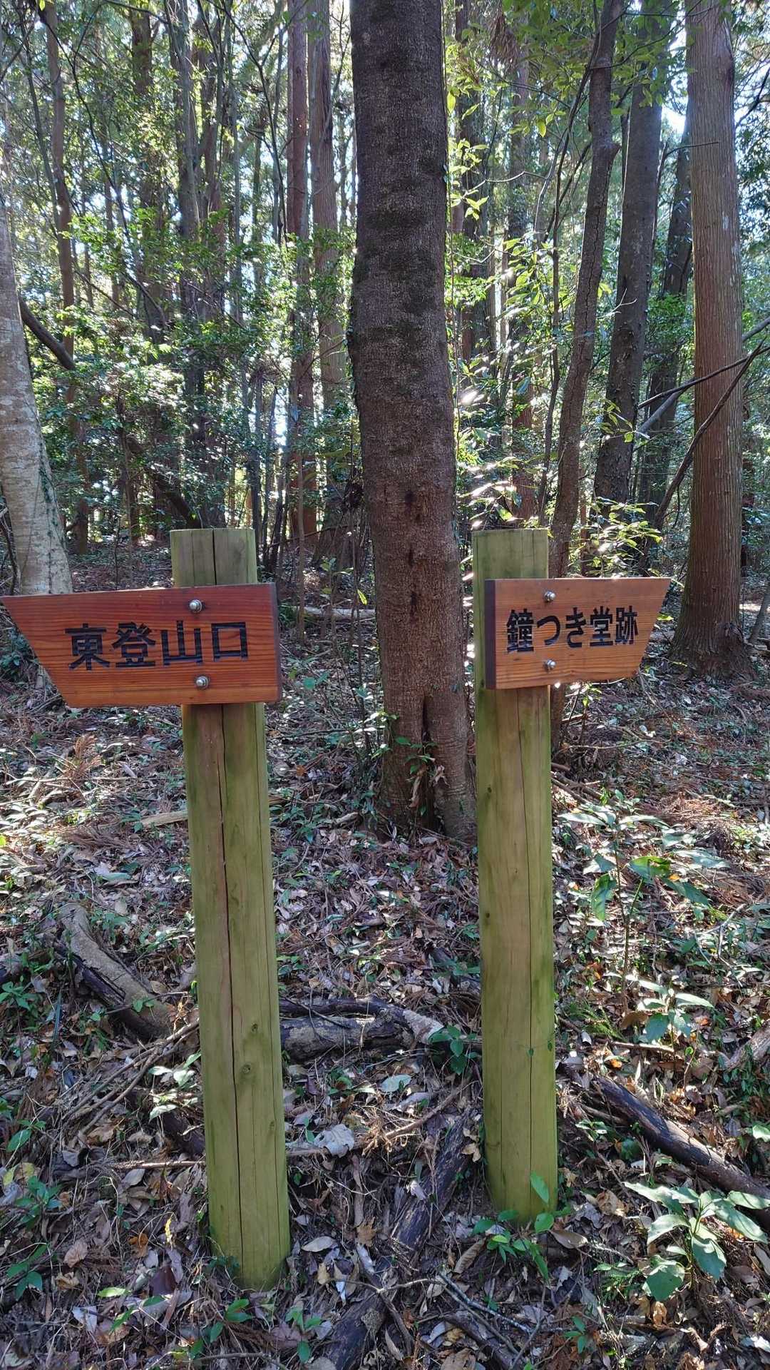 東登山口-御前山-西登山口 周回コースの写真