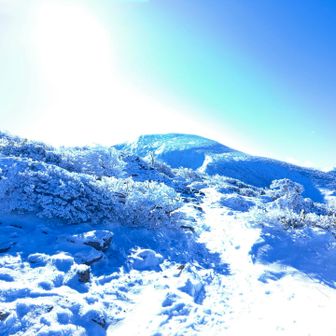 鬼面山到着。逆光ですんごい色の写真撮れた。