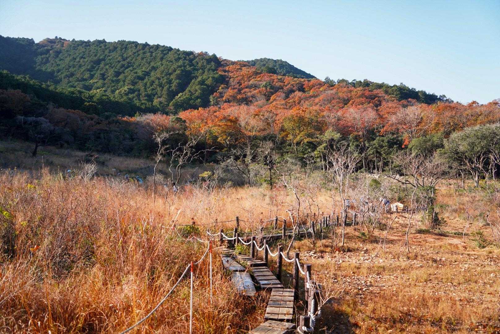 お花ないけど、冬もいいやん
ボランティアの人が朝から整備してくださってて、霜が下りてるから
気をつけてねーって声かけて
くださいました。

優しい🥺
そして有難い🙏
