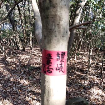 何もない山頂へ到着しました㊗️

山頂プレートは赤テープにマジックで書かれていました🪄