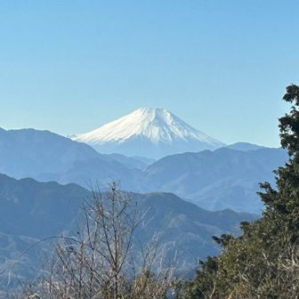 ずっと眺めていたい〜🥰