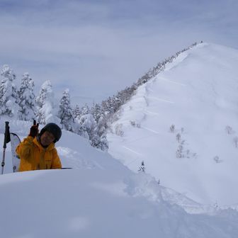 うめざきひでき