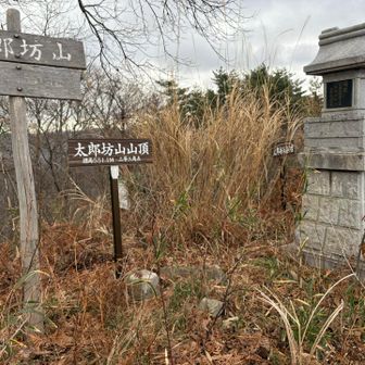太郎坊山山頂
三角点あり