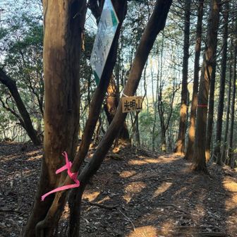 光明山さんちょ