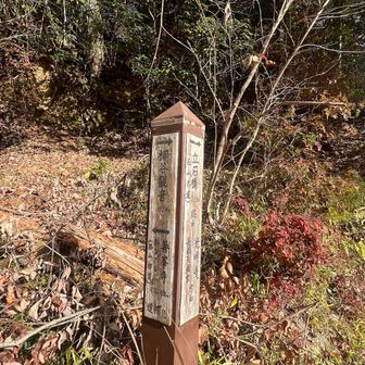 少し車道を歩き柳谷観音さんの駐車場より山道に入ります