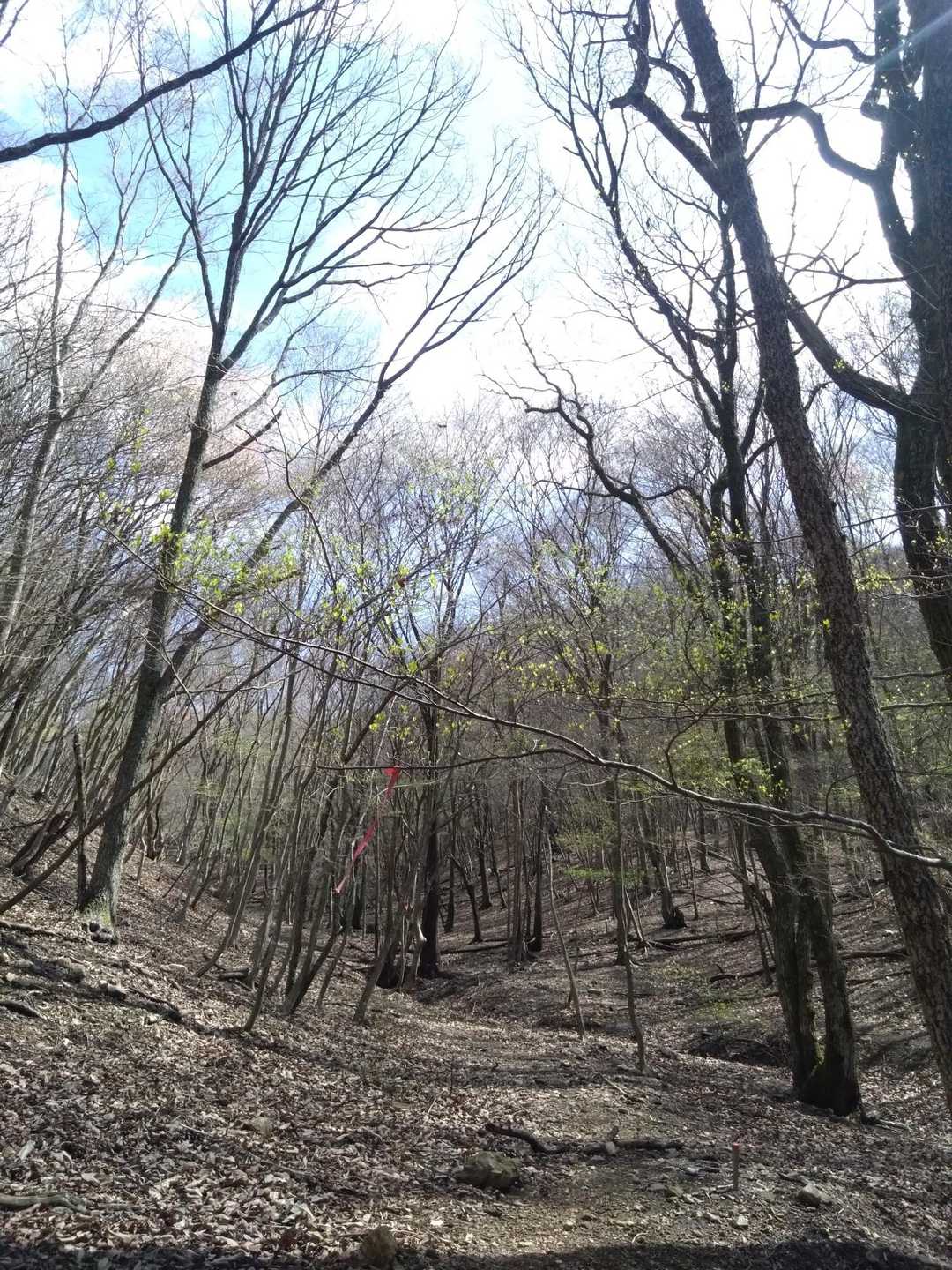 もったいないので
ゆっくりゆっくり歩く