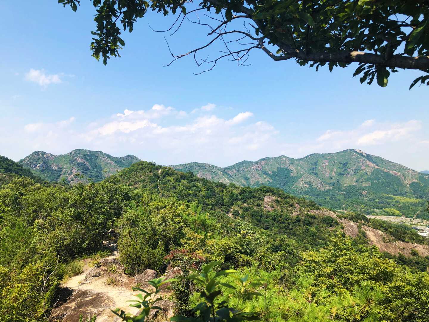 大平山の写真