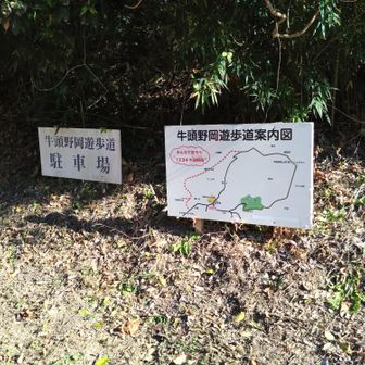 鹿児島県の南薩方面ですぅ🙄
南薩も広いなぁ〜
我が家からはちと遠い…🚗💨
我が家も南薩ですが〜😅