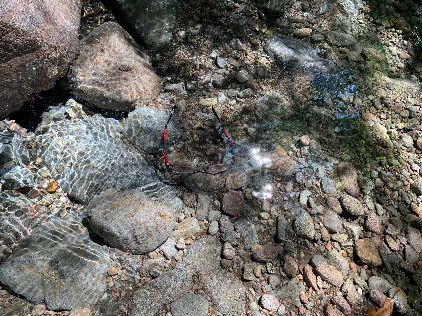 すでに水浴び！
眼鏡、流される💦