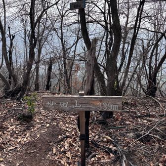 何とか世田山に…
休憩兼ねて荷物を預かり
他の皆んなは笠松山に💨
元気すぎやろ‼︎🤣