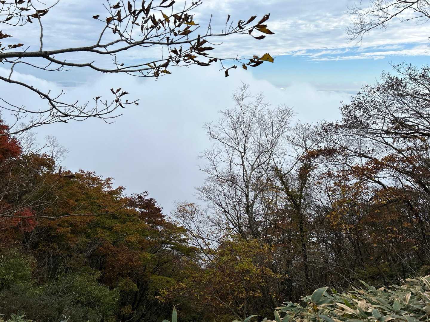 雲海フェチの私はテンション⤴️