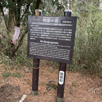 お久しぶりの明星