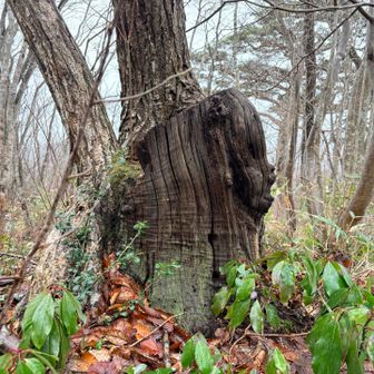 今日も歌ってる♬