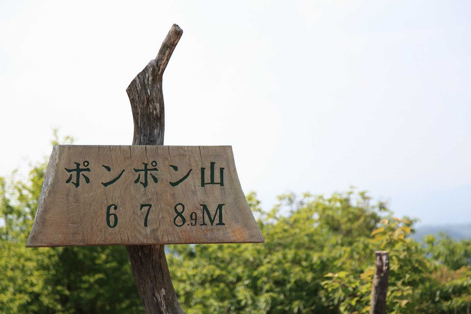 山のおもてなし｜高槻ポンポン山登頂ハイキングの写真