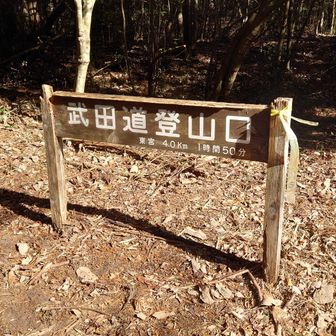 武田道から駐車場へ山越え