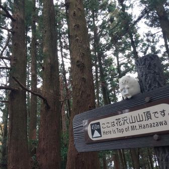 用宗駅から開始。花沢山まで予定通り。順調順調。風が強いので、ぬいぐるみの出番少なめです。