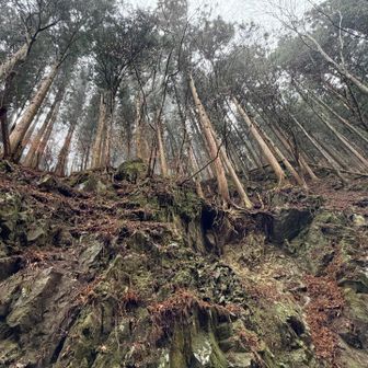 土砂崩れ、落石多めの道をゆく