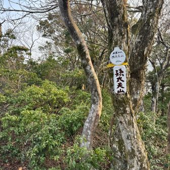 ⛰️孫太夫山
累計ピーク3／21座目

よくある山名だけど、読めない。