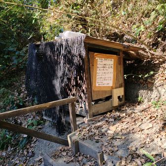 階段を下りて左に行ったら市の瀬峠ですが、ちょっと右へ。ここも前から気になってました！