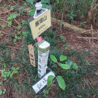 飯場山で他の登山者の方に会いました👍
お互いに
「まさかこんな
　マニアックな山で人に会うなんて…」
って感じでした😆

↓シュウマイまいどドンマイさんの活動日記
https://yamap.com/activities/49126972