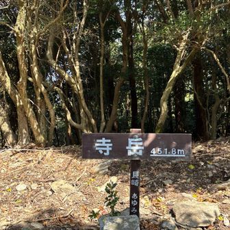 寺岳山頂
眺望無し
ここで
右太ももが少し？
でも予定通り佐敷岳→松尾岳ルートへ