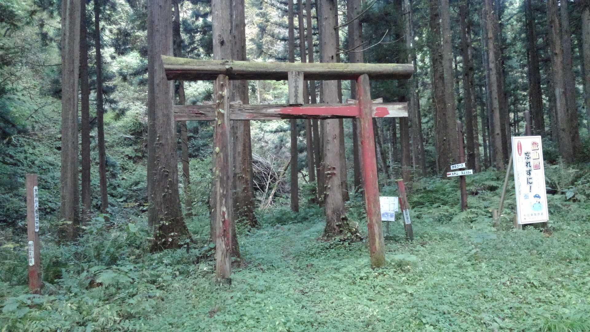 野田口。廃道なイメージだったが立派な登山口！