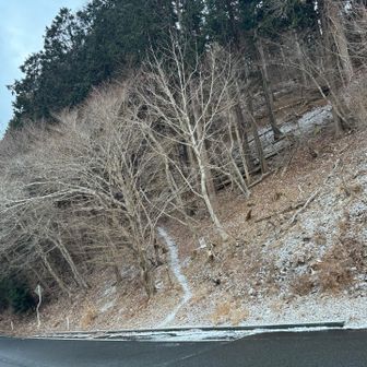 道を挟んだ向こう側に登山道
白く見えてて入り口がわかりやすかった🤍