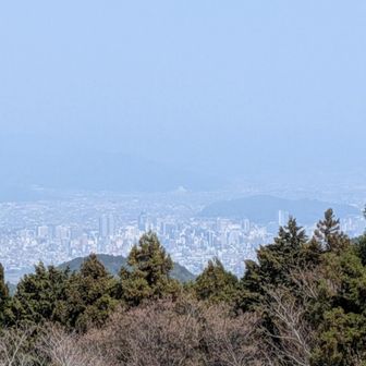 静岡の市街地かしら