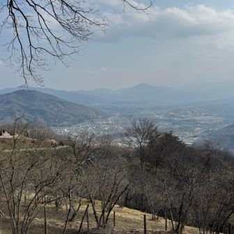 武甲山と秩父のまちがよく見える