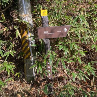 宝塚まで13キロ…🚶
