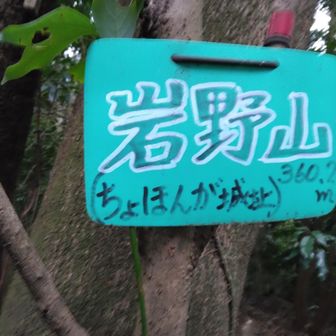 ちょほんが城址の添え書き、山城跡？。珍しい名前でどんな意味がある城なんでしょう