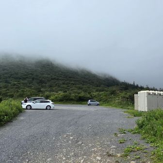 戻ってきたー！♪