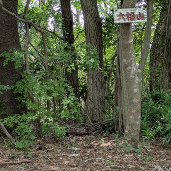大福山
✦大福山で、大福食べたら、、!!
旨いね🍀きっと✦