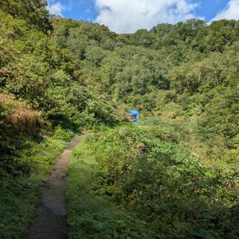 あまり人と会わない。この時間だものね。
