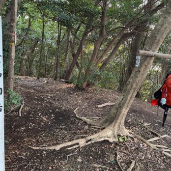 かなやまみなみだけ登頂！三座目
トムさんはザック掛けに