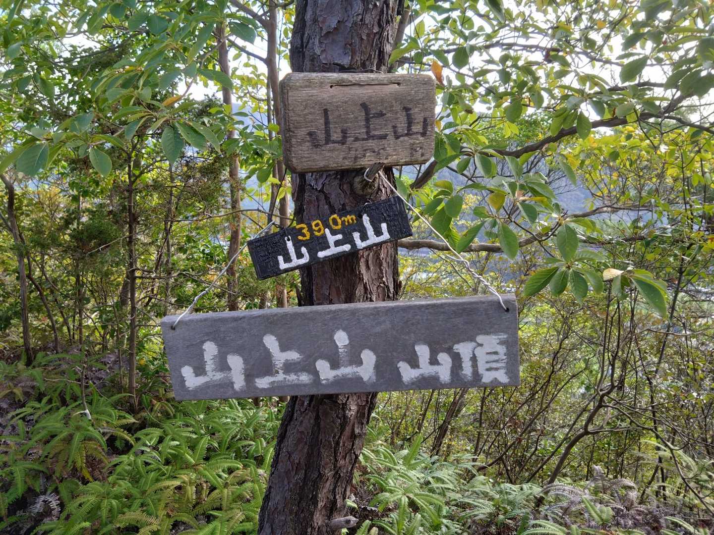 右から読んでも左から読んでも
山上山