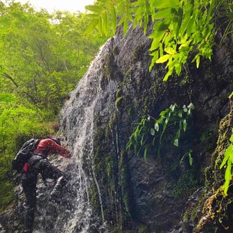 おにぎりちゃん