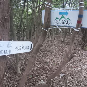 ここを右