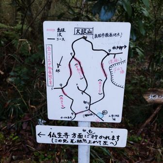明瞭な地図
急坂にはもれなくお助けロープ
私有地、入れていただき感謝
末永く保全をお願いします