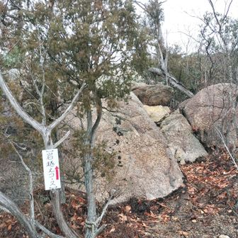 岩越えコース💕