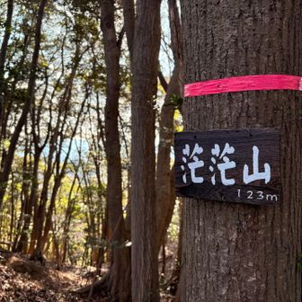 YAMAPグレーピークの茫茫山（ボーボーヤマ）⛰️
展望はない😂